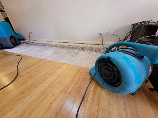 Professional Water Damage Repair technician working in Montauk, NY